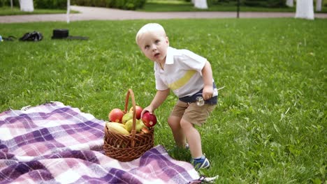 slow motion of a blondy boy running on a green grass. takes a red apple from picnic basket and gives it to his loving mother. picnic outside. spring time