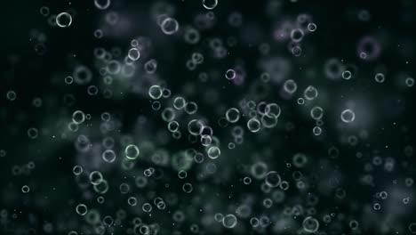 bubbles against a dark background