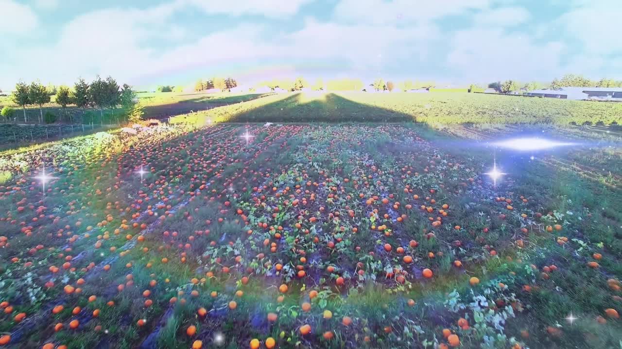 움직이는 시골 풍경 위의 무지개 안개의 비디오