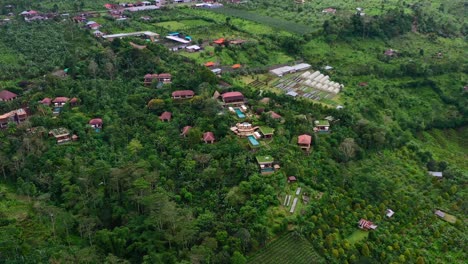 munduk bali indonesia의 녹색 산 언덕 꼭대기에 있는 산악 럭셔리 리조트에서 돌리