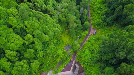 Ascenso-De-Drones-Que-Revela-El-Exuberante-Paisaje-Selvático-Que-Rodea-La-Caldera-Velha-De-Sao-Miguel,-Azores