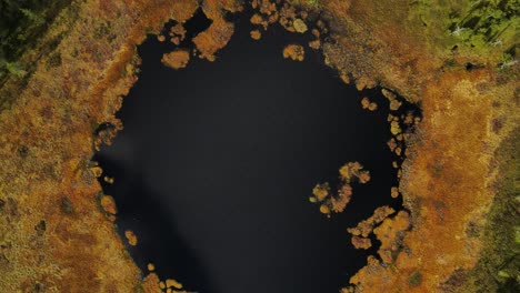 descending footage of round forest lake. southern norway