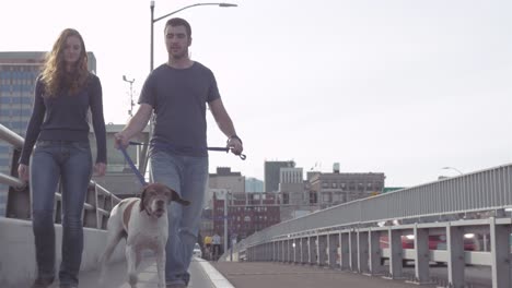 young loving couple walking their adorable dog on a bridge