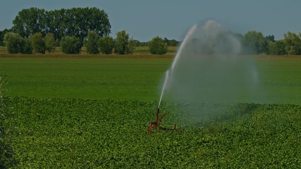 Vista a livello del suolo di un irrigatore agricolo che innaffia le colture in una soleggiata giornata estiva, creando spruzzi su campi verdi con alberi sullo sfondo sotto un cielo azzurro e limpido.
