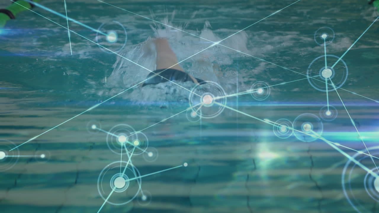 적합한 여성 수영 선수 수영에 대한 연결 네트워크의 애니메이션