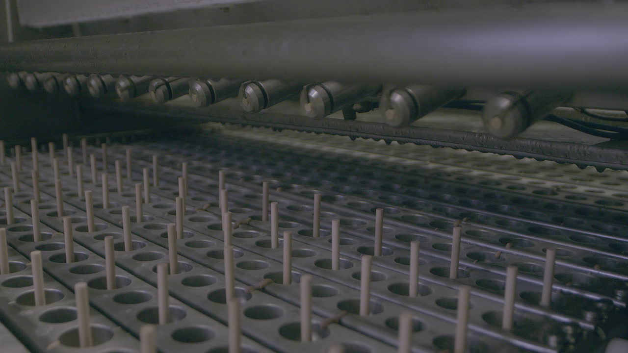 Clipe fixo de linha de produção em fábrica de sorvetes, mostrando palitos de picolé sendo inseridos em moldes