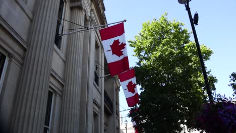 canadian flags waving outside a building