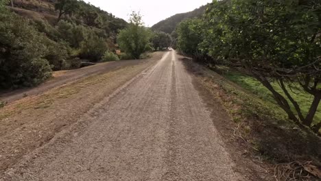 lapso de tiempo del conductor de la motocicleta a través de una carretera forestal rodeada de grandes árboles verdes