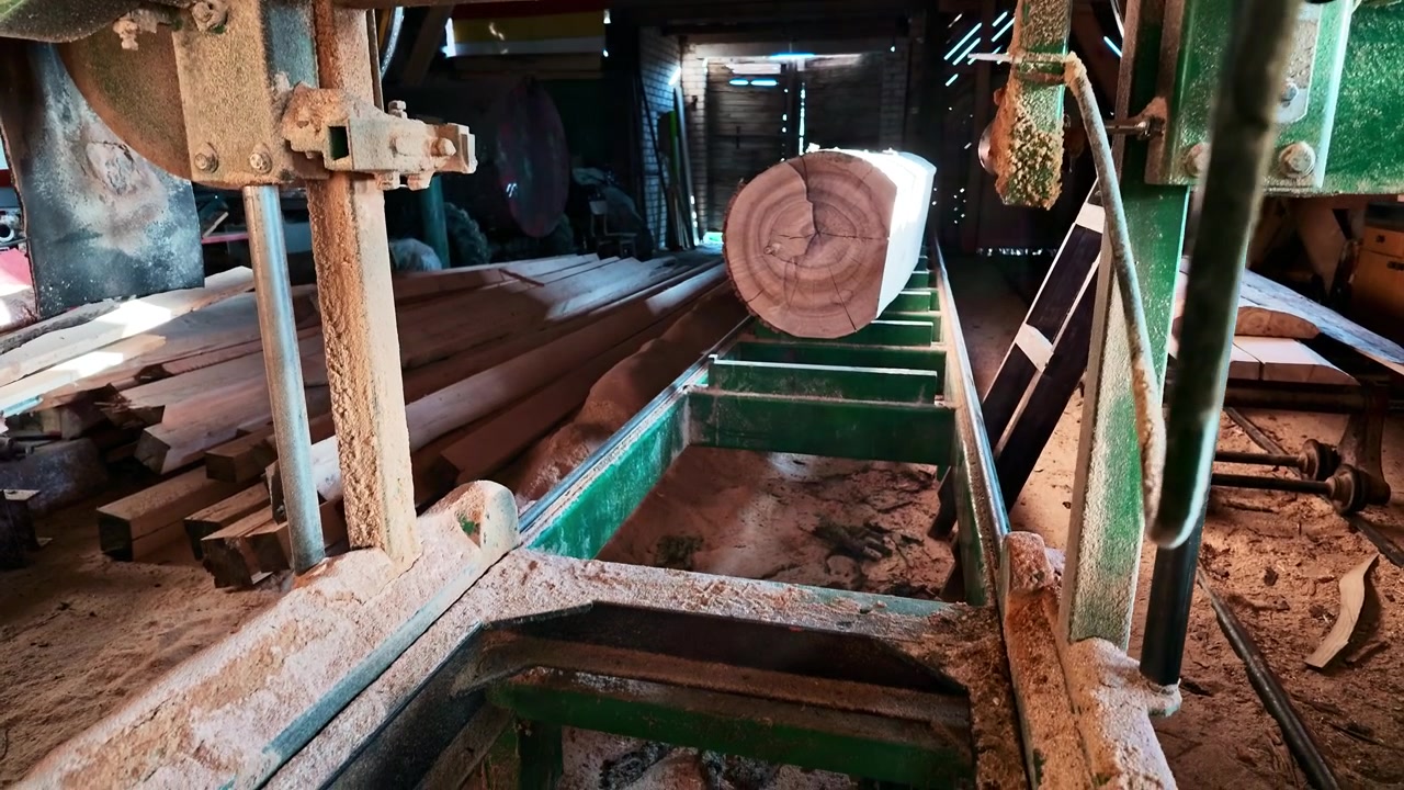 Industrial band saw machine with a sharp blade processing a large log in a woodworking factory