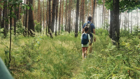 family excursion in the forest