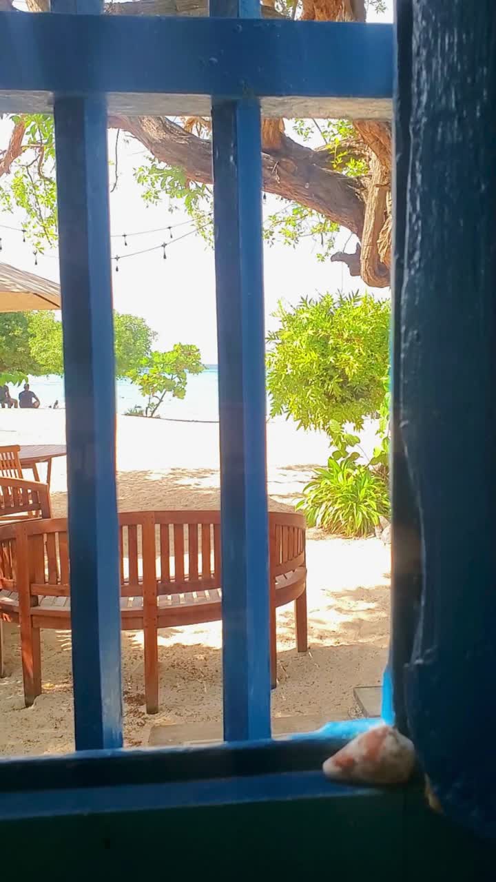 POV from indoors looking out sandy beach, beautiful tree and turquoise ocean in Los Roques, Venezuela