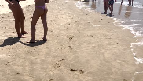 woman-friendship-in-pink-swimwear-walking-on-the-beach-and-talking-together-at-summer-sunset