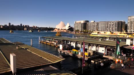 sydney harbour and circular quay with the iconic opera house in the background