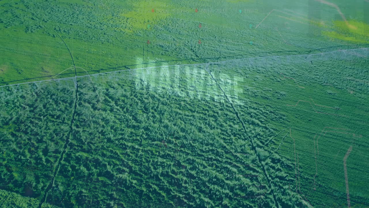 Data processing animation overlay on green field landscape with clear sky