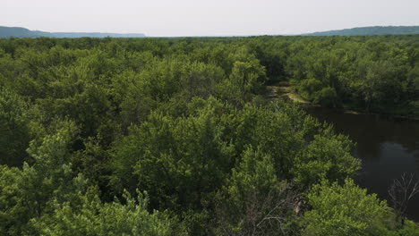 Tributary of Mississippi River, historically known for Beef Slough timber war