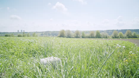 wide shot of a typical german landscape with a landmark in the foreground