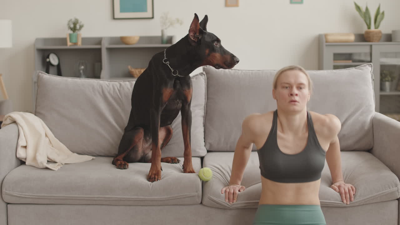 Dog Watching Woman Doing Bench Dips