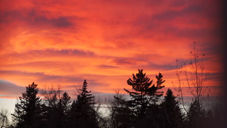 Colourful-warm-sunrise-or-sunset-in-the-city-during-the-fall-in-October-in-Calgary,-Alberta,-Canada-with-trees