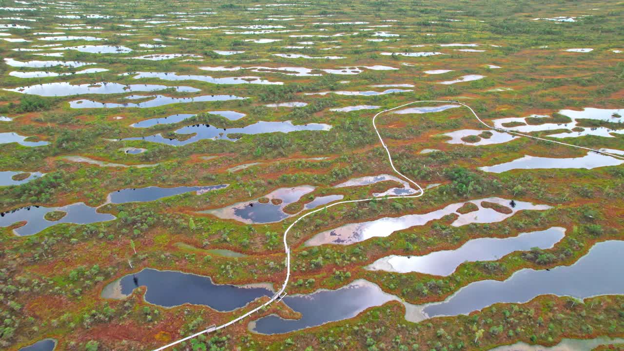 Explore the unique landscapes of Kemeri swamp in Latvia from above