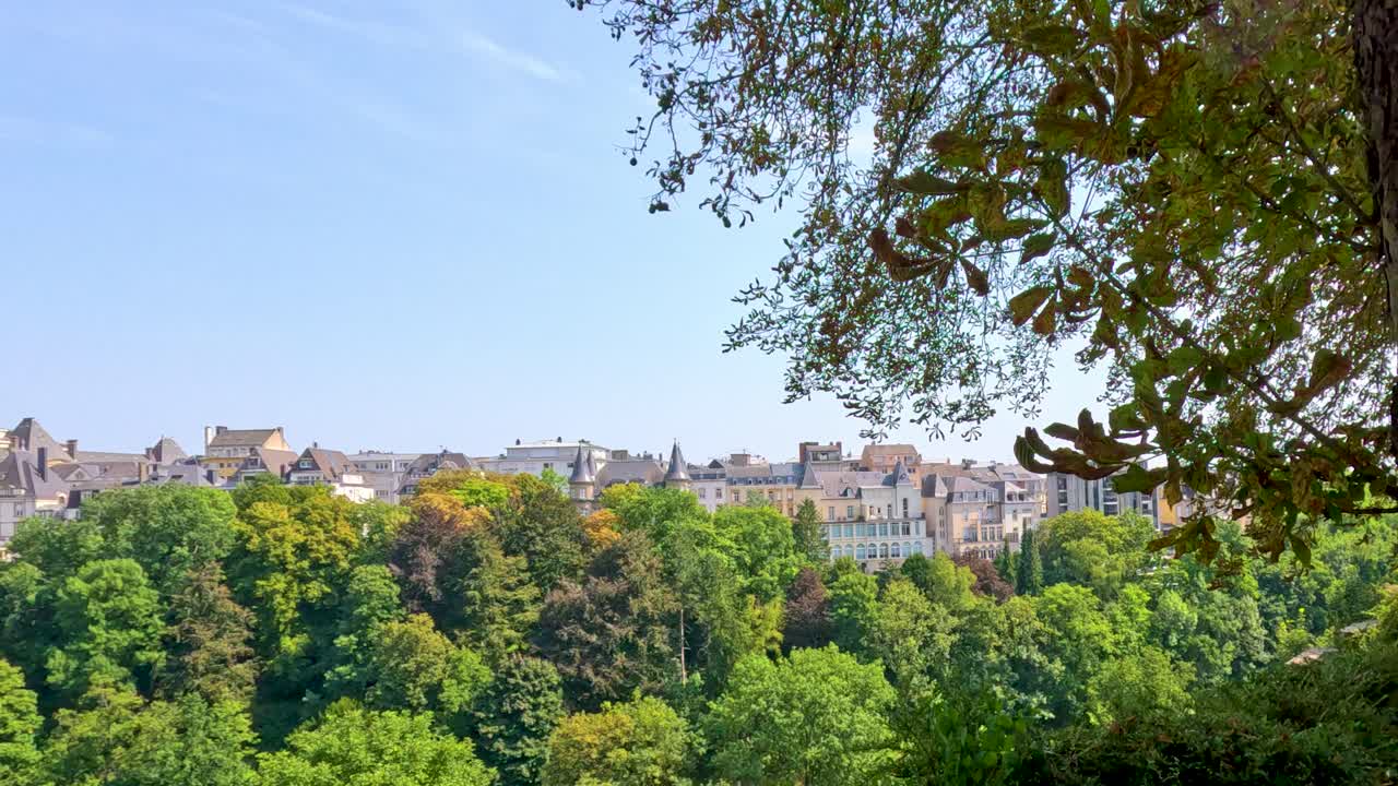 Daytime camera pan reveals Luxembourg city skyline above lush park, with leafy tree in foreground, bright natural lighting, and clear blue sky
