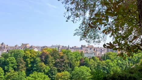 daytime camera pan reveals luxembourg city skyline above lush park, with leafy tree in foreground, bright natural lighting, and clear blue sky