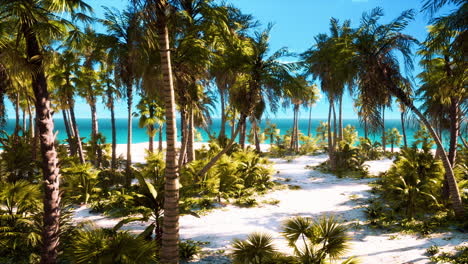 Paradise-landscape-of-tropical-beach-with-calm-ocean-waves-and-palm-trees