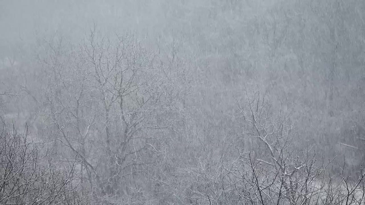 Blizzard in the winter.