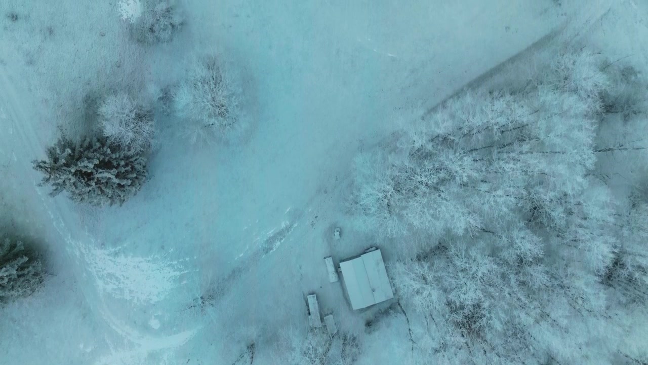 A snow-covered cabin surrounded by frosted trees. Suitable for winter-themed projects or nature documentaries.