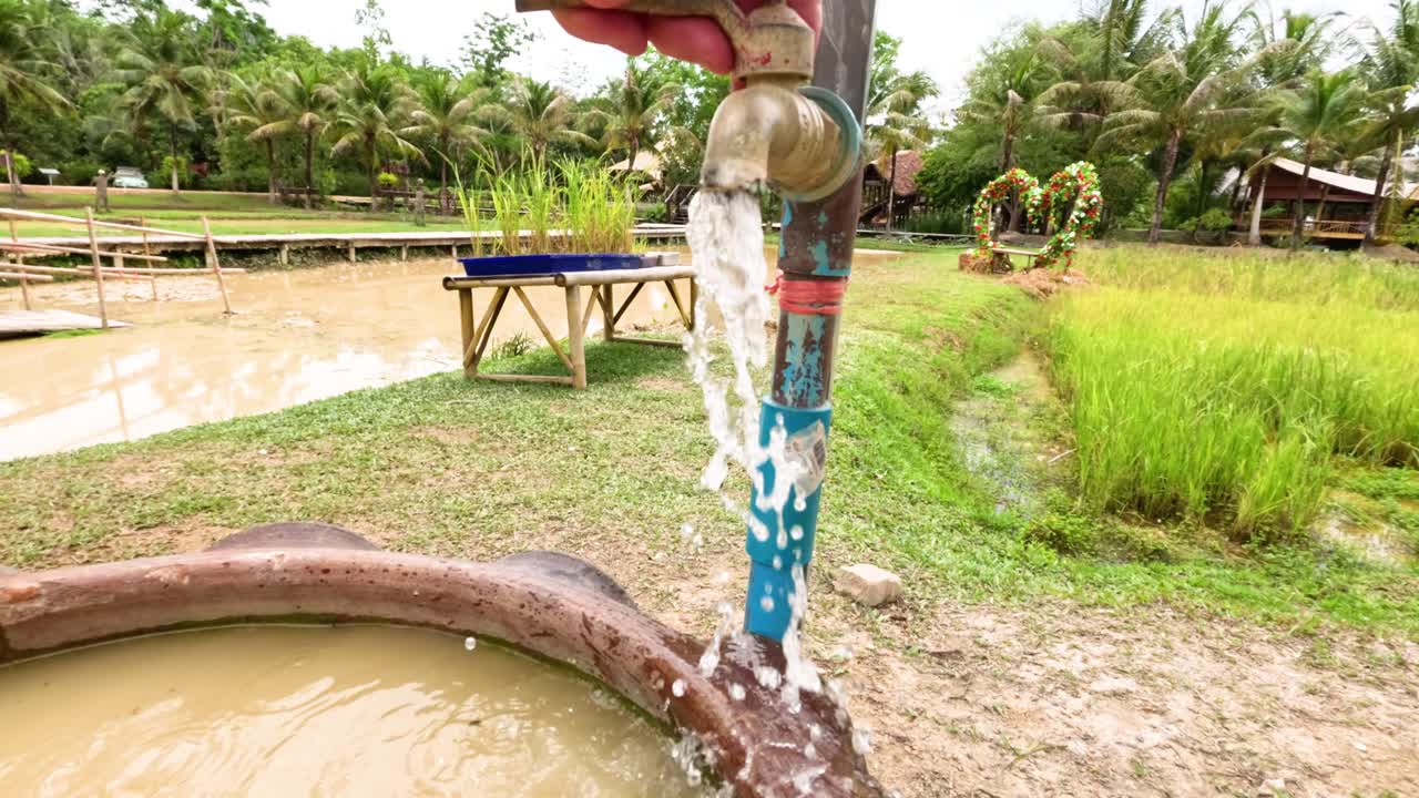 Hand opens water faucet, clear water flows into basin, bright daylight, lush rural garden setting