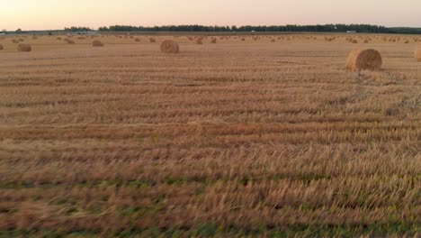 scenic landscape with many rolls of straw on farmland on a warm summer evening