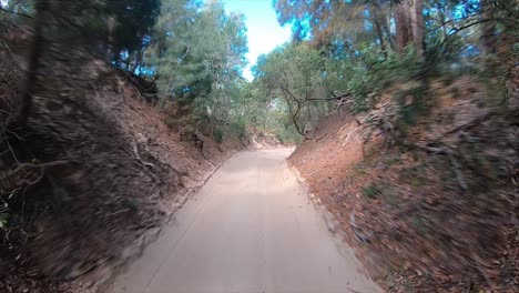 rear facing driving point of view pov travelling along a deserted and flat sandy inland track, surrounded by steep banks and overhanging trees - ideal for interior car scene green screen replacement