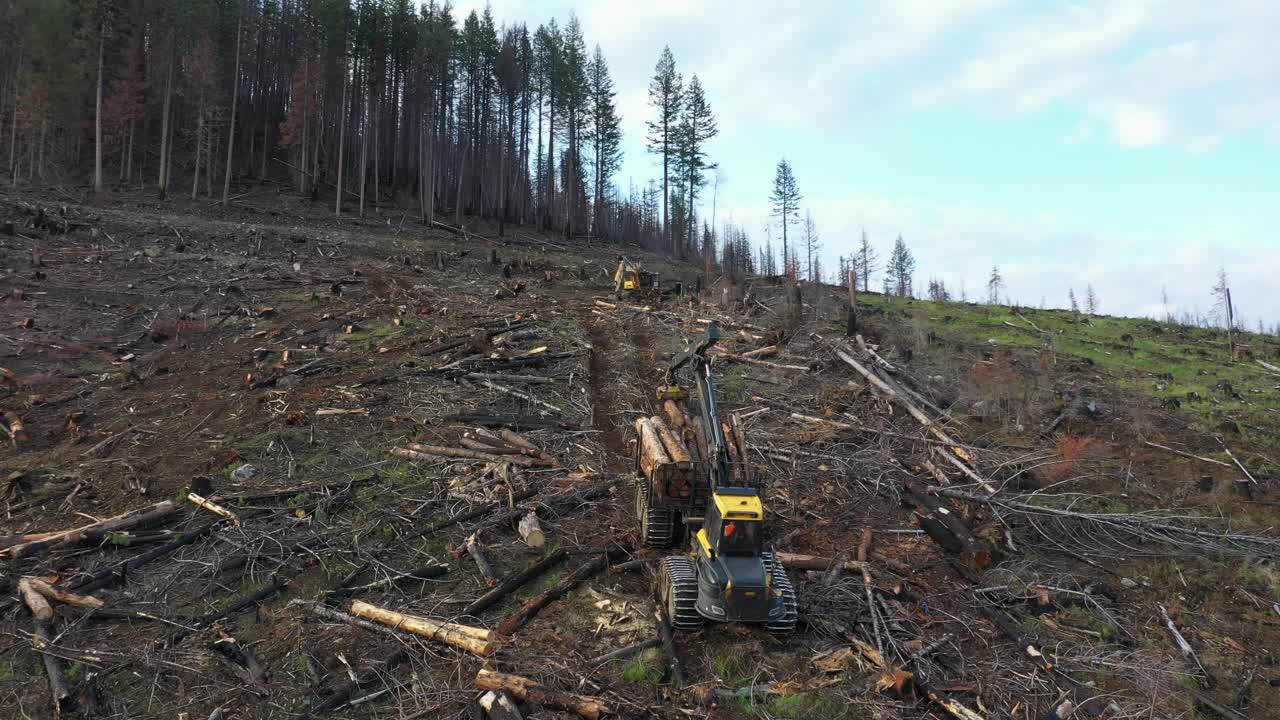Aerial View: Forwarder Navigating Steep Slope in BC Forest