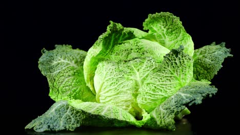 forks fresh savoy cabbage slowly rotates.