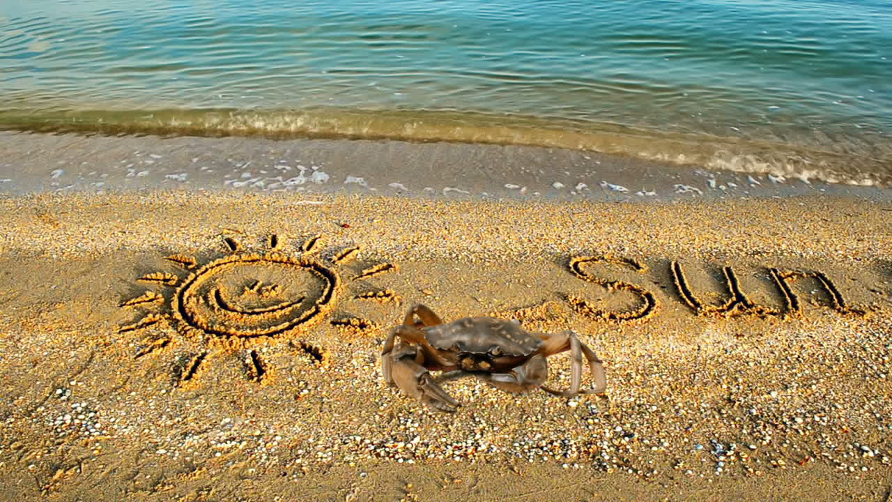 Crab and an inscription on sand, the beach. The drawing of the sun on sand