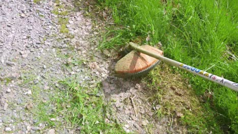 hierba que se poda con una cortadora de césped portátil