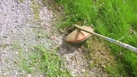 grass being pruned with portable lawn mower