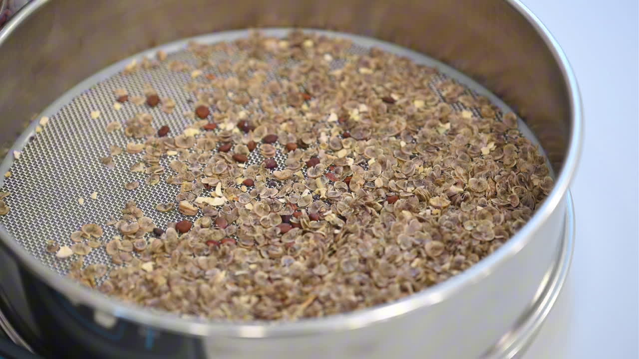 Plant seeds are preserved inside the Plant Preservation Centre in the UAE