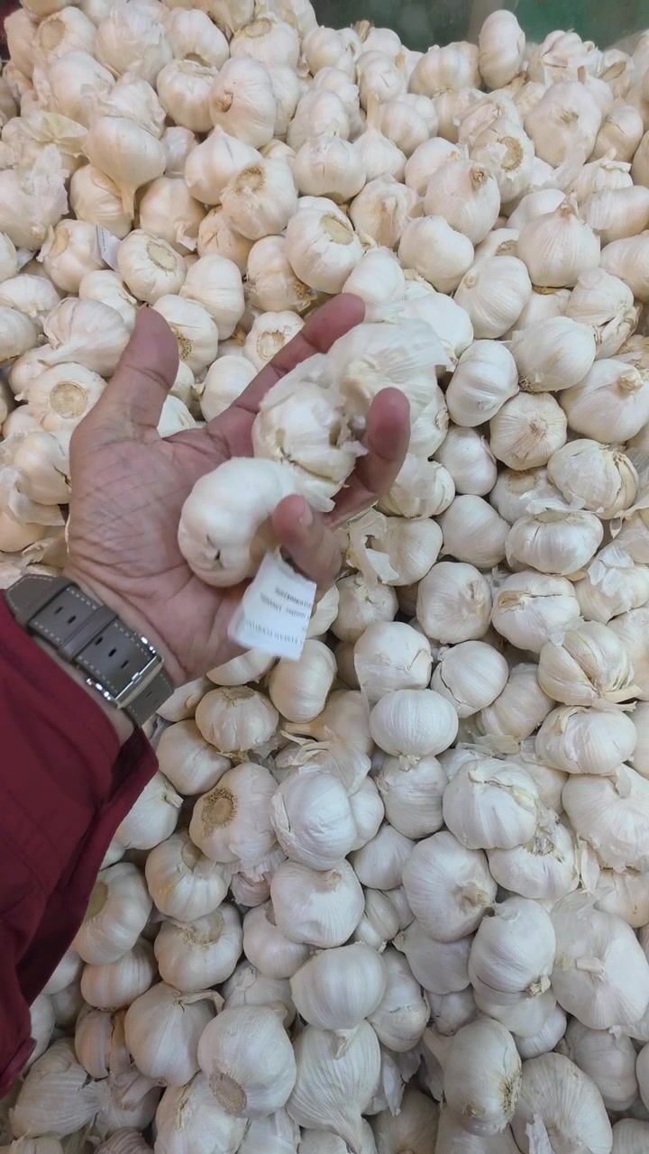Una mano sosteniendo ajo mientras compra en un supermercado