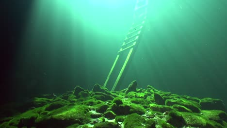 wooden ladder in a mexican cenote