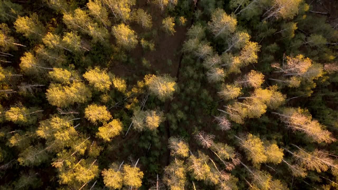 일출 유타 유인타 국유림의 공중 촬영