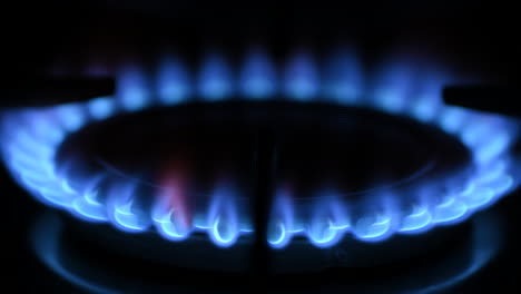 loopable close-up shot of three blue gas flames