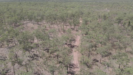 Aerial-Drone-shot-of-Dirt-road-in-Northern-Territory,-Australian-outback