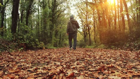 Caminando-Bosque-De-Otoño-Solitario