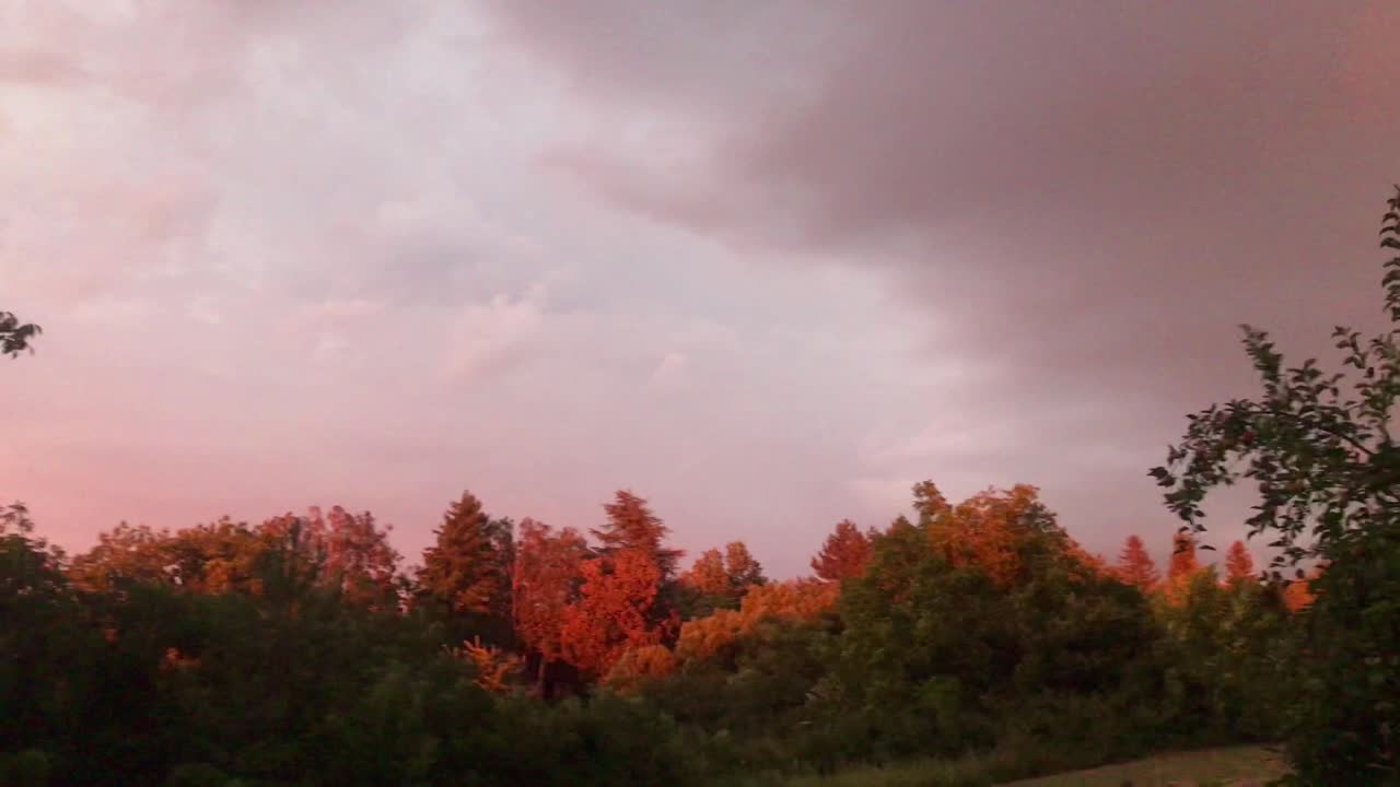 Breathtaking view of violet sunset adorned with purple and red hues reflecting on trees in 180 degree scenic view