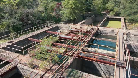 sobrecrecimiento en una antigua planta de filtración en el medio oeste