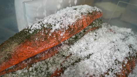 person producing graved salmon - sprinkling salt over fillet in plastic container slow motion