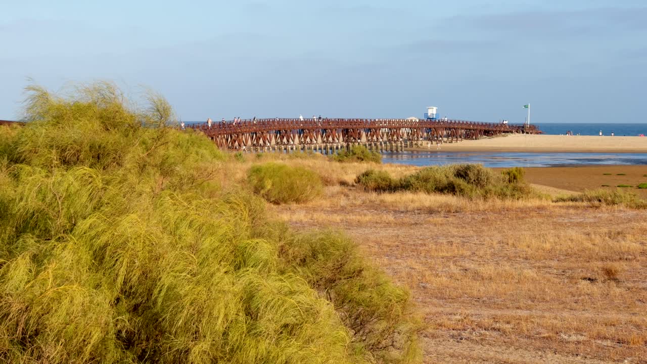 Beautiful views of the marshes, Spain, protected natural area