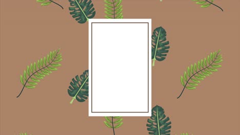 exóticos tropicales hojas ecología animación en marco cuadrado fondo de madera