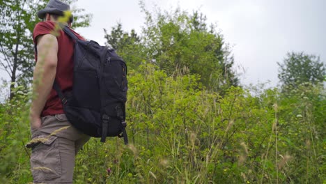 tourist with backpack walking in the forest.