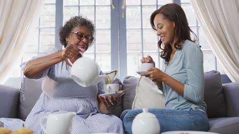 senior mixed race woman drinking tea with her daughter in social distancing